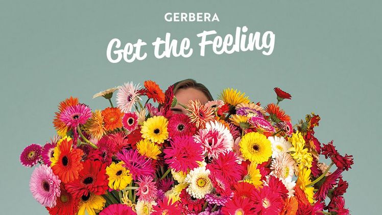 Es ist das erste Mal, dass Gerbera eine Kampagne durch Zusammenarbeit innerhalb der gesamten Kette führt. Bild: Gerbera Kampagne Get the Feeling. 