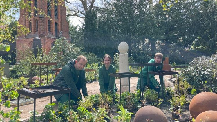 Staudenpflanzung auf dem neuen Grabfeld für Sternenkinder. Bild: Gärtnerei Hinze.
