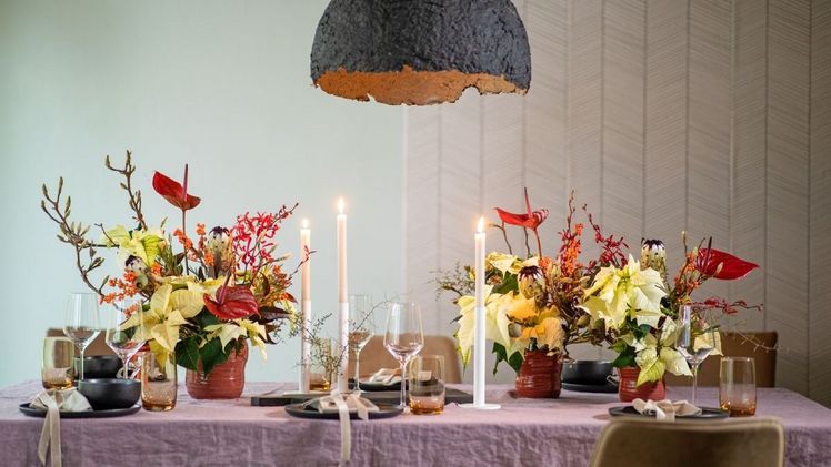 Im Herbst und Winter lassen Gestecke und Sträuße mit geschnittenen Weihnachtssternen Festtafeln strahlen. Bild: Stars for Europe.