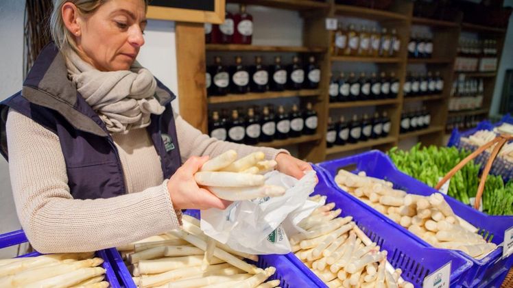 Spargel und Erdbeeren aus regionalem Anbau stehen für höchste Quali-tät und leisten ganz nebenbei einen wichtigen Beitrag für eine nachhaltige Lebensweise. Bild: GMH/Spargelstrasse NRW.