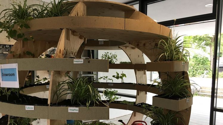 Der „Growroom“ verwandelt den heimischen Wohnraum in eine grüne Oase. Bild: SAGAFLOR.