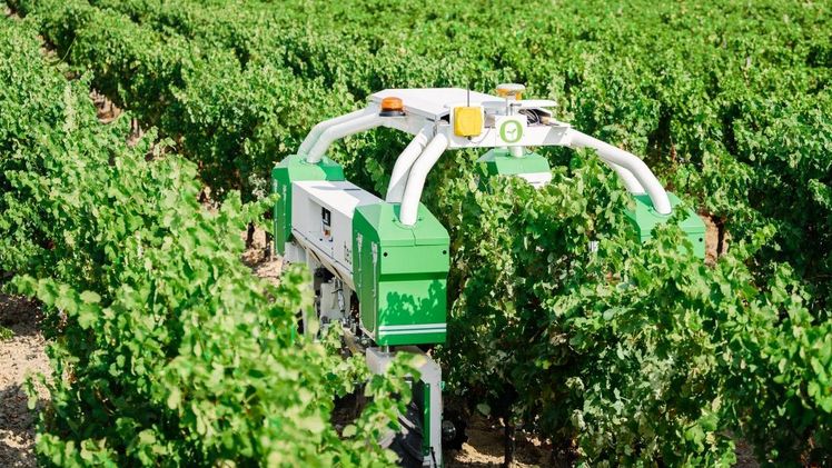 Naïo Technologies enthüllt die neue Version seines Ted-Roboters für die Arbeit in den Weinbergen. Bild: Naïo Technologies.