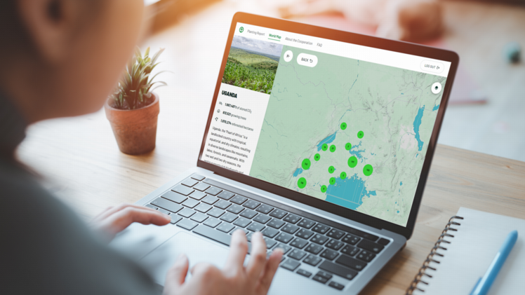 Neue Transparenz in der Aufforstung. Bild: STIHL.