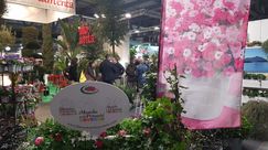 Impressionen von der Myplant & Garden 2025. Bild: GABOT.