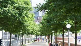 Stadtgrün. Bild: Graf von Luckner für den BdB. 