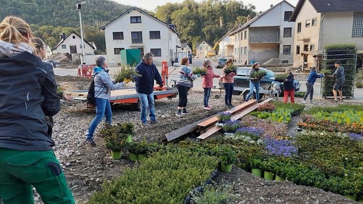 Pflanzen für die Hochwassergebiete. Bild: Azerca.