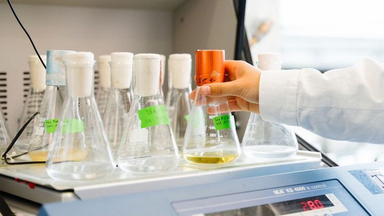 Im Labor an der HSBI wird getestet, wie schnell unterschiedliche Formulierungen den Wirkstoff freisetzen können. Ziel ist eine kontinuierliche Abgabe über einen längeren Zeitraum. Bild: © F. Hüffelmann/HSBI .