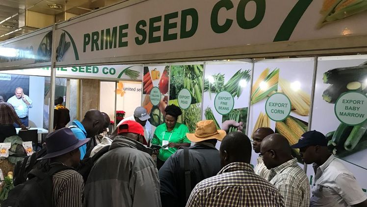 Die HortiFlor Expo soll vom 10. bis 12. März in Simbabwe stattfinden. Bild: HPP.