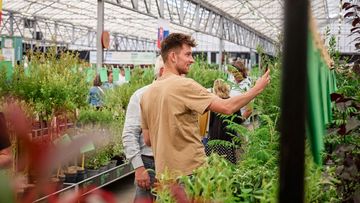 Die Verkaufsergebnisse deuten auf eine positive Marktstimmung und die Erwartung eines höheren Herbstabsatzes von Gartenpflanzen in Europa hin. Bild: PLANTARIUM|GROEN-Direkt.