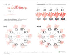 TOP 10 – Schnittblumen 2023. Grafik: ZVG auf der Basis von AMI.