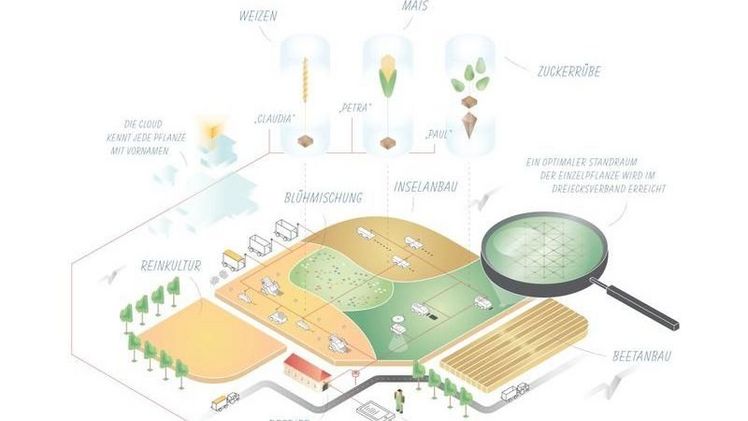 Spot Farming mit autonomen Maschinen (die Zukunftsvision) Grafik: JKI/TI/TU-Bs.