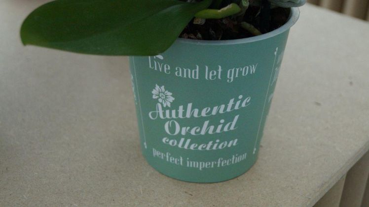 Unter dem Label "Authentic Orchids" vermarktet Ter Laak nicht ganz perfekte Orchideen. Bild: GABOT.