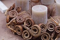 Die Farbtrends für die Adventzeit 2019 bringen vorweihnachtliche Stimmung in jedes Zuhause. Bild: Österreichische Blumenwerbung GmbH. Die Farbtrends für die Adventzeit 2019 bringen vorweihnachtliche Stimmung in jedes Zuhause. Bild: Österreichische Blumenwerbung GmbH.