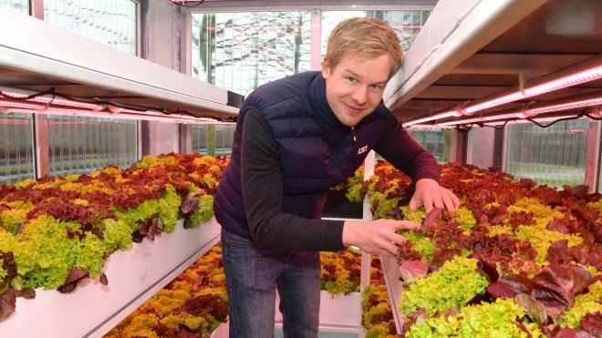 Aquaponic bezeichnet ein Zusammenspiel der Aufzucht von Fischen in Aquakulturen und der Kultivierung von Nutzpflanzen in Hydrokulturen, zum Beispiel Gemüse und Kräuter. Bild: k+s.