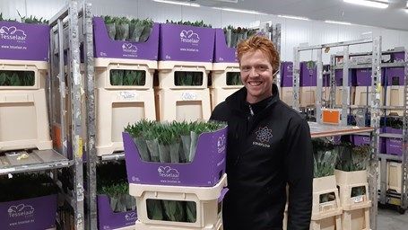 Tim Stricker, Starflor verarbeitet für Tesselaar Alstroemeria. Bild: Royal FloraHolland.