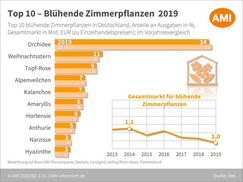 Top 10 Zimmerpflanzen 2019. Grafik: AMI.