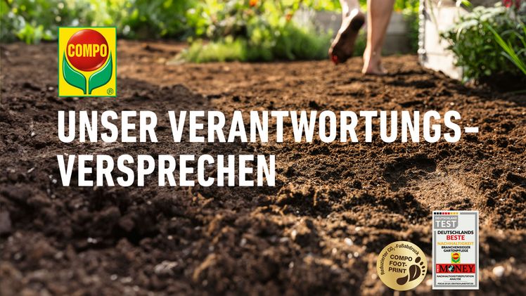 COMPO veröffentlicht Verantwortungsversprechen. Bild: COMPO.