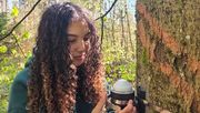 Caroline Werner, studentische Hilfskraft im Projekt REPHASE, installiert ein Dendrometer. Bild: Jochner-Oette/upd.