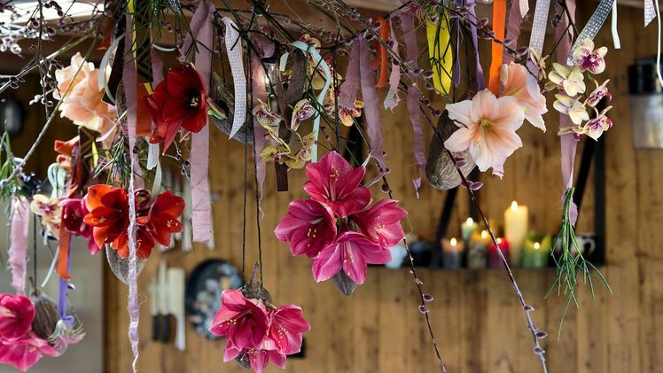 Die Amaryllis ist ein absoluter Dezemberstar. Bild: tollwasblumenmachen.de 