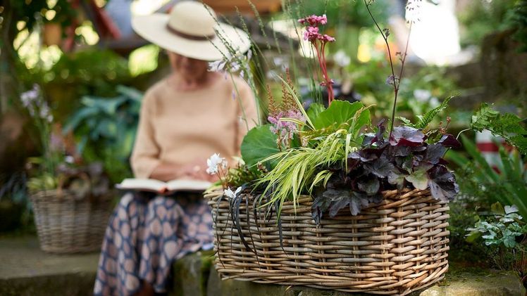 Einmal bepflanzt, macht dieser mit Schattenstauden bestückte Kasten länger als nur eine Saison Freude. Bild: GMH/Bernhard Krause.