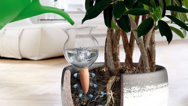 Bio Greens Hydro Bloom erspart lästiges und häufiges Gießen. Bild: Bio Green.