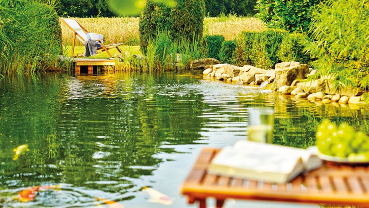 OASE erhält den Life & Living Award 2024 als Deutschlands beliebtester Anbieter in der Kategorie Teichbau. Bild: OASE.