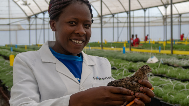 Florensis ist bestrebt, der zuverlässigste, innovativste und nachhaltigste Züchter und Vermehrer zu sein. Bild: Florensis. 