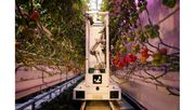 Der Erntewagen des deutschen Agritech-Startups eternal.ag kann bereits heute in Gewächshäusern eingesetzt und später zu einem autonomen Ernteroboter nachgerüstet werden. Bild: eternal.ag.