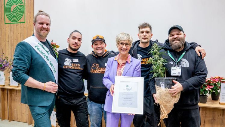 Die Besucher konnten aus allen eingereichten Neuheiten auswählen: Eindeutig gewonnen hat die Cannabiszüchtung BCN Critical XXL Autoflower von Seedstockers / KK Farming. Foto: ZVG/ Schubert.