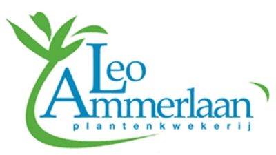Bunnik Plants und die Plantenkwekerij Leo Ammerlaan bauen derzeit gemeinsam in Bleiswijk eine holzbefeuerte Biomasseanlage mit einer Leistung von 12,5 MWth. 