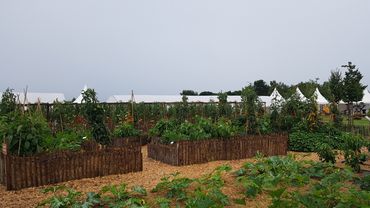 Impressionen aus dem Schaugarten. Bild: GABOT.