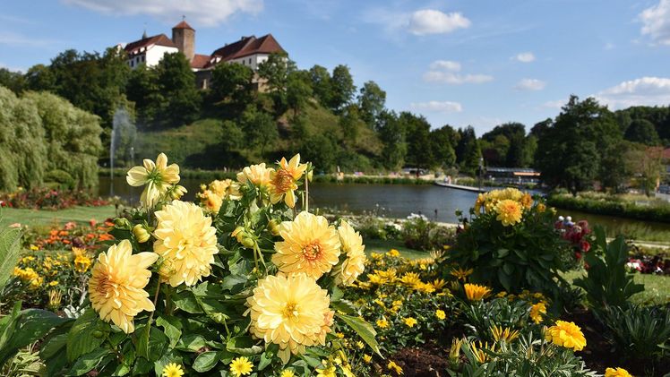 Blütenfeuerwerk unter dem Schloss. Bild: Imma Schmidt/LaGa Bad Iburg 2018 gGmbH.