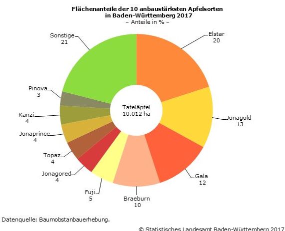 Elstar behaupt Spitzenstellung im Apfelanbau in Baden-Württemberg.