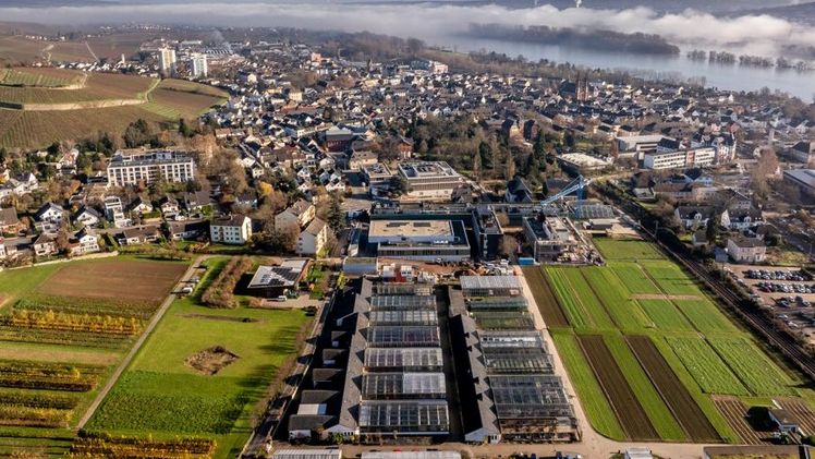 Campus aus der Vogelperspektive: Parallel zum Studieninfotag lädt der Fascination of Plants Day mit einem abwechslungsreichen Programm dazu ein, die faszinierende Welt der Pflanzen und ihrer Wissenschaft zu entdecken. Bild: Torsten Silz.