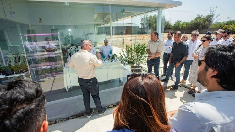 Camposol eröffnet eine moderne Biofabrik für Sorteninnovation. Bild: Camposol.