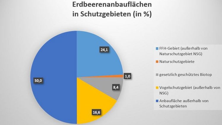Die betroffenen Erdbeerbetriebe und Teilnehmer/innen dieser Umfrage geben an, dass 50% der Erdbeerflächen in Schutzgebieten liegen. Grafik: VSSE.