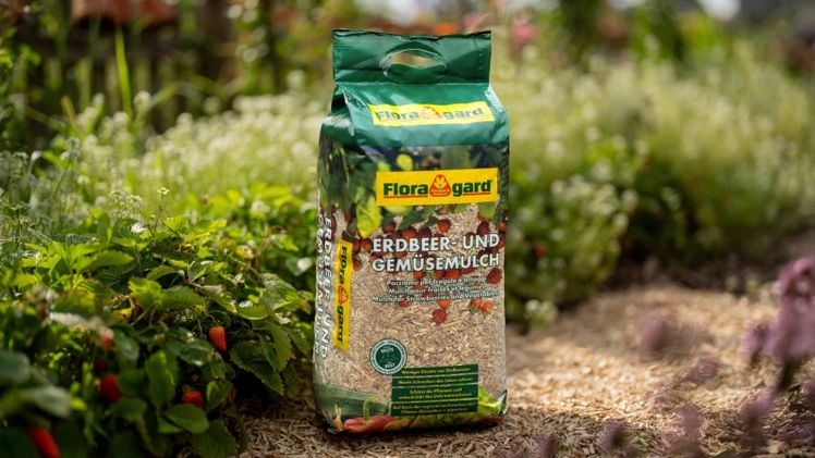 Der Micanthus-Mulch in der kleineren Verpackung als Erdbeer- und Gemüsemulch. Bild: Floragard.