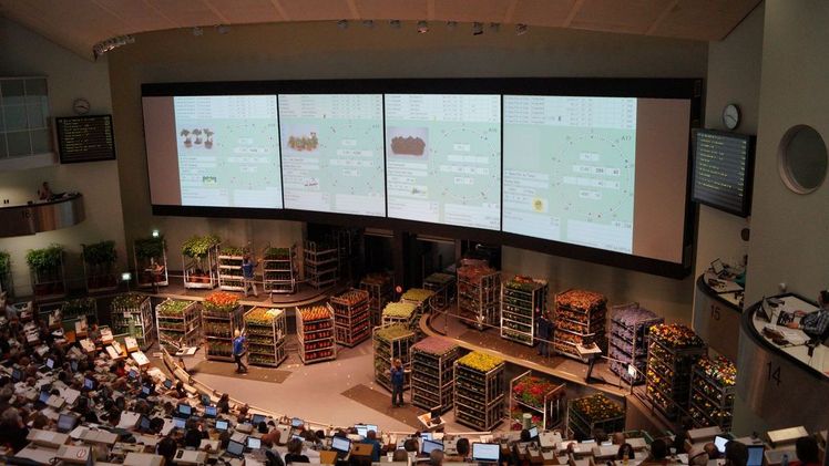 Findet im Oktober ihr Ende: Die physische Versteigerung. Bild GABOT.  Findet im Oktober ihr Ende: Die physische Versteigerung. Bild GABOT.