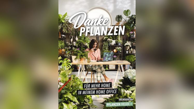 Die neuen Lieblingskollegen im Homeoffice: Pflanzen!. Bild: Pflanzenfreude.de.