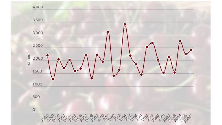 Gute schweizer Kirschenernte erwartet. Grafik: LID.
