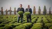 Tammo Bremer und Hinrich Bremer. Bild: Bremer Pflanzen.