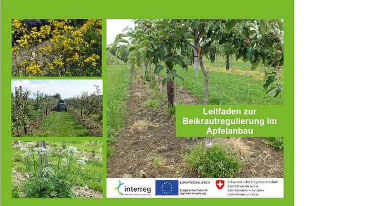 Titelbild 'Leitfaden zur Beikrautregulierung im Apfelanbau'. Bild: HSWT.