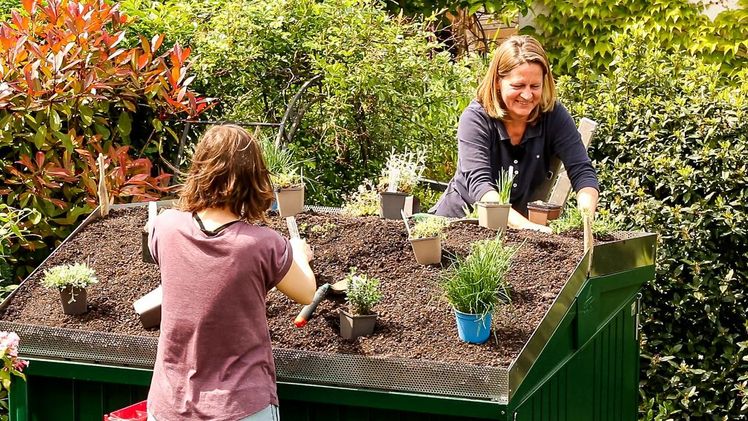 Für die Begrünung von Garagen oder anderen kleineren Dächern benötigt man nicht unbedingt die Hilfe von Profis. Bild: Verbraucherzentrale NRW.