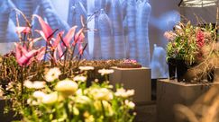 Floralgestaltung Olivia Hoffmann - GiardinaAWARD Gewinner, Kategorie Gold. Bild: MCH Group AG.