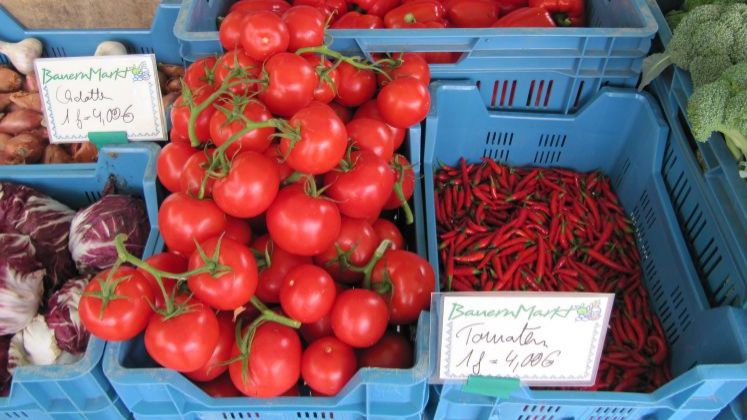 Die Erntemengen von Tomaten und Co. lagen in fast allen Kulturen unter dem Durchschnitt. Bild: Landvolk.