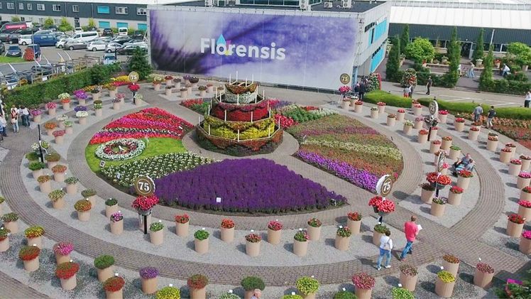 Leo Hoogendoorn ist neuer CEO von Florensis. Bild: Florensis. 