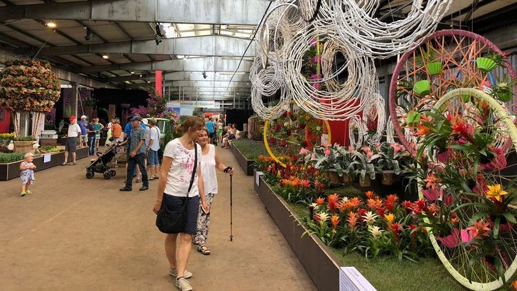 Ein Instawalk zeigt auf der BUGA 2019 in Heilbronn die ganze Vielfalt der Pflanzenfamilien. Bild: Blooms/Landgard.
