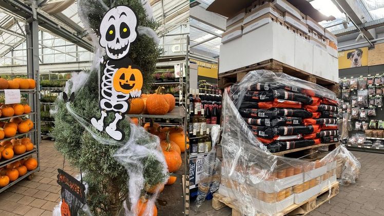 Die Kürbisschnitzaktion zusammen mit zahlreichen Sachspenden. Bild: SAGAFLOR.