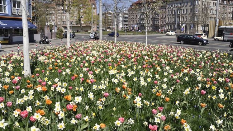 Der Kreisverkehr oder die Verkehrsinsel ist auch eine Visitenkarte für das Viertel, das Gewerbegebiet oder das Dorf. Bild: Verver Export. 