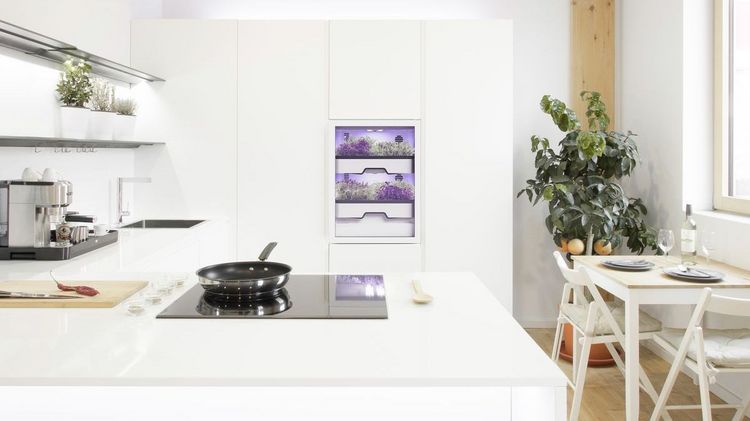 agrilution startet Vorverkauf für den plantCube. Bild: agrilution.